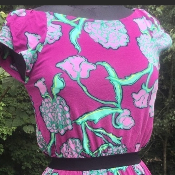 Lilly Pulitzer purple hydrangeas Dress
xs - Picture 6 of 7